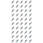 50x bf-24.jpg